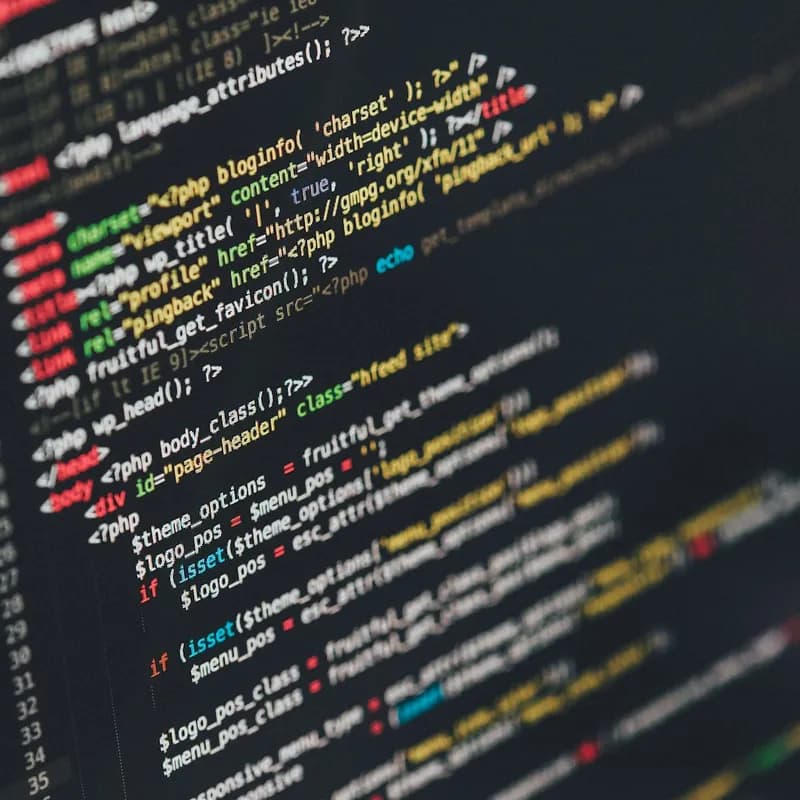 Web development